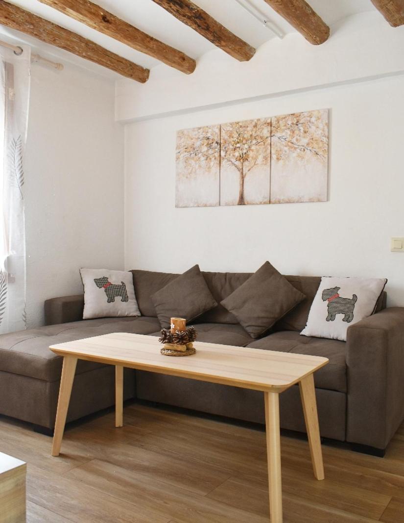 Apartament Turistic Campdevánol エクステリア 写真