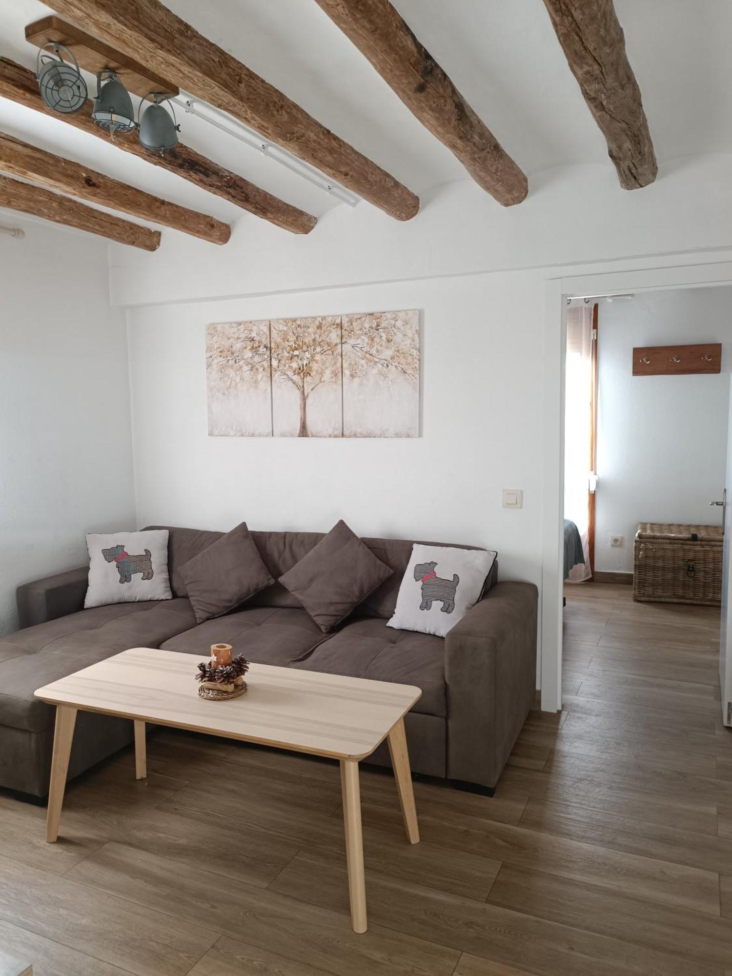 Apartament Turistic Campdevánol エクステリア 写真